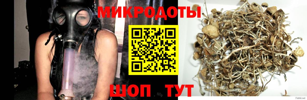 Псилоцибиновые грибы мицелий  Вход с VPN  Надым 